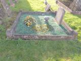 image of grave number 560032